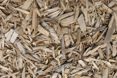 biomass boilers Leasowe